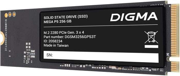 Накопитель SSD M.2 2280 Digma Mega P5 256 ГБ 1158635