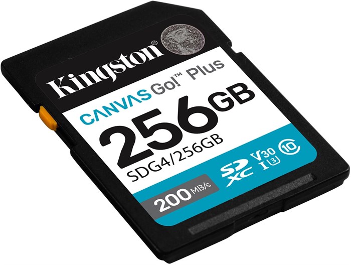 Карта памяти SDXC 256GB Kingston SDG4/256GB 1206294