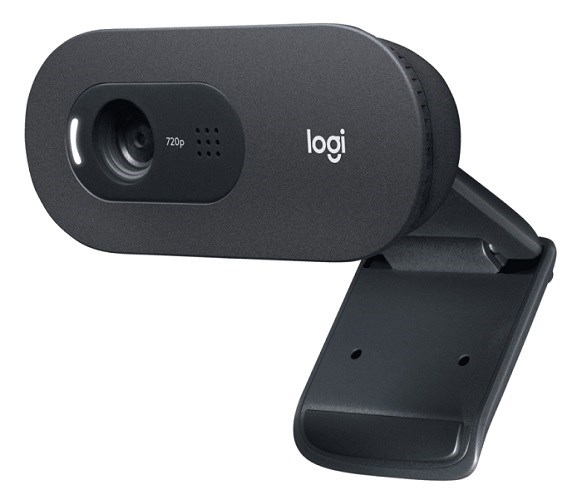 Веб-камера  Logitech C505e HD Webcam 815858