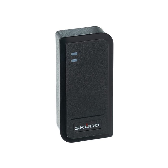 Считыватель  Skudo SK-RP300E 1215312