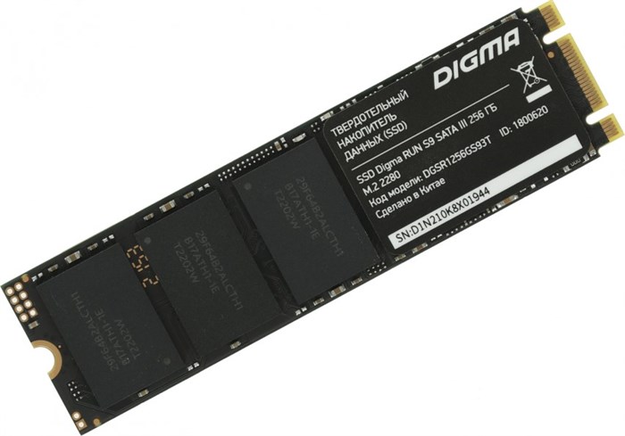Накопитель SSD M.2 2280 Digma DGSR1256GS93T 256 ГБ 979783