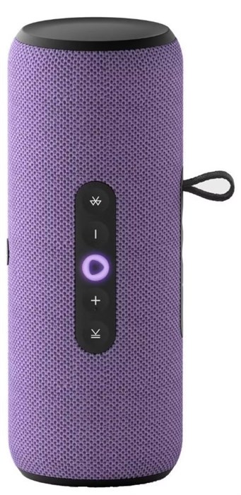 Умная колонка  Яндекс Станция Стрит 1228507