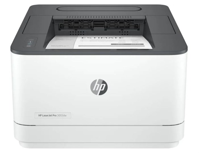Принтер лазерный черно-белый HP LaserJet Pro 3003dw 1063363