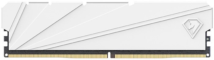 Модуль памяти DDR4 16GB Netac NTSSD4P32SP-16W 1103074