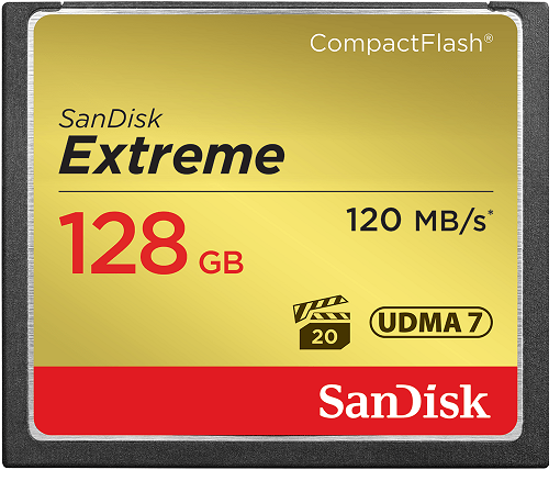 Карта памяти CompactFlash 128GB SanDisk SDCFXSB-128G-G46 555783