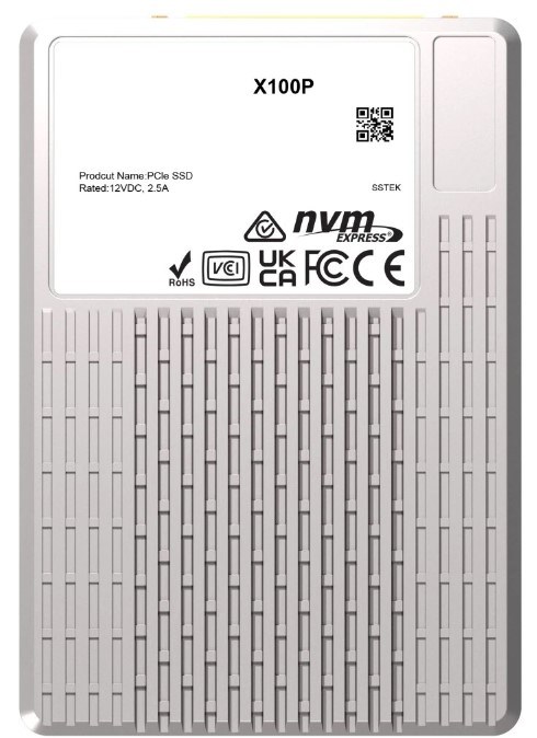 Накопитель SSD U.3 Phison X100P 1207737