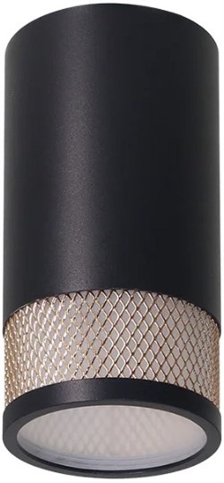 Светильник настенно-потолочный WOLTA WSL-GU10/12BG 1202361