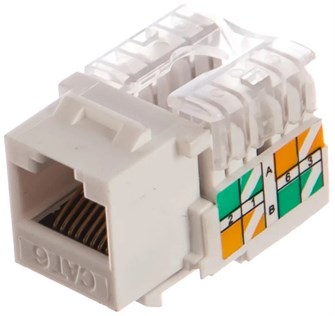 Модуль  Netlan EC-UKJ-UE2-WT-10 1230774