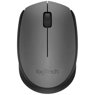Мышь беспроводная Logitech M170 970313