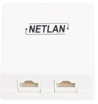 Компьютерная розетка настенная Netlan EC-UWO-2-UD2-WT-10 588072
