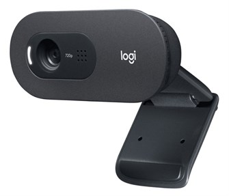 Веб-камера  Logitech C505e HD Webcam 815858