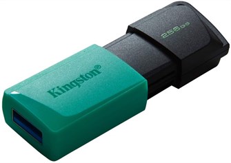 Накопитель USB 3.2 256GB Kingston DTXM/256GB 950189