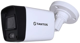 Видеокамера IP Tantos TSi-P2FP 1014703