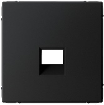 Накладка розетки компьютерной  Systeme Electric GAL001084 1156245
