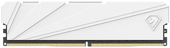 Модуль памяти DDR4 16GB Netac NTSSD4P32SP-16W 1103074