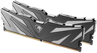 Модуль памяти DDR5 16GB (2*8GB) Netac NTSWD5P48DP-16K 960085