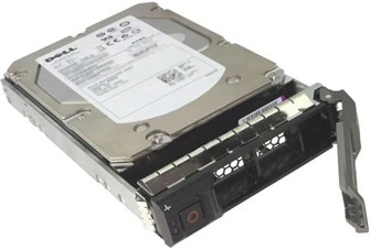 Жесткий диск  Dell 161-BBRX 1177590