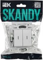 Переключатель двухклавишный  IEK SK-V22-1-10-K01 1157119