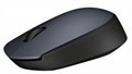 Мышь беспроводная Logitech M170 544902