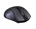 Мышь Wireless A4Tech G9-500F 216680