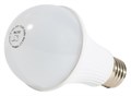 Лампа  Бастион SKAT LED-220 E27 1015203