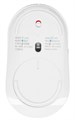 Мышь Wireless Xiaomi Dual-mode Wireless Mouse 2 1182654