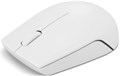 Мышь wireless Lenovo 300 Compact 1239693