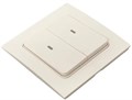 Выключатель умный EKF RCV-ST2-WS-ZB 1216031