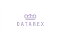 Ввод  Datarex DR-465001 832377