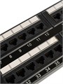 Патч-панель  Filum FL-PP-5E48U2 1204890