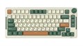 Клавиатура  Royal Kludge RK-H81 1115337
