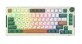 Клавиатура  Royal Kludge RK-H81 1115337