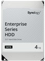 Жесткий диск  Synology HAT5300-4T 1100687