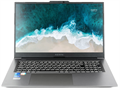 Ноутбук  Nerpa Caspica I552-17 17.3 ", Core i5, 8 Гб RAM, 256 Гб SSD, Iris Xe Graphics, Серый 1047383