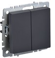 Переключатель двухклавишный  IEK BR-V22-0-10-K53 1157004
